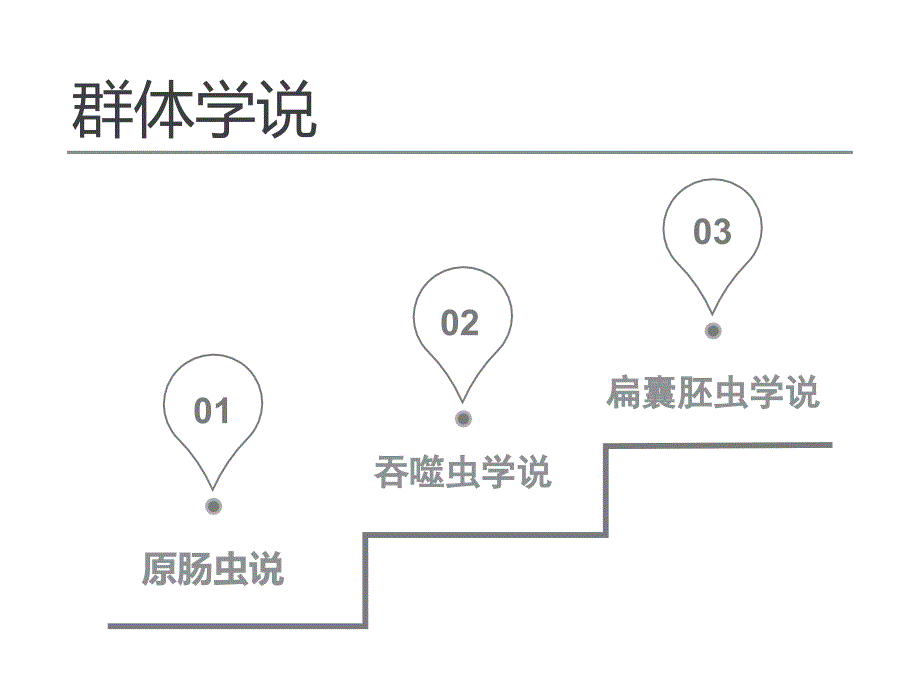 第4组多细胞动物的起源学说_第4页