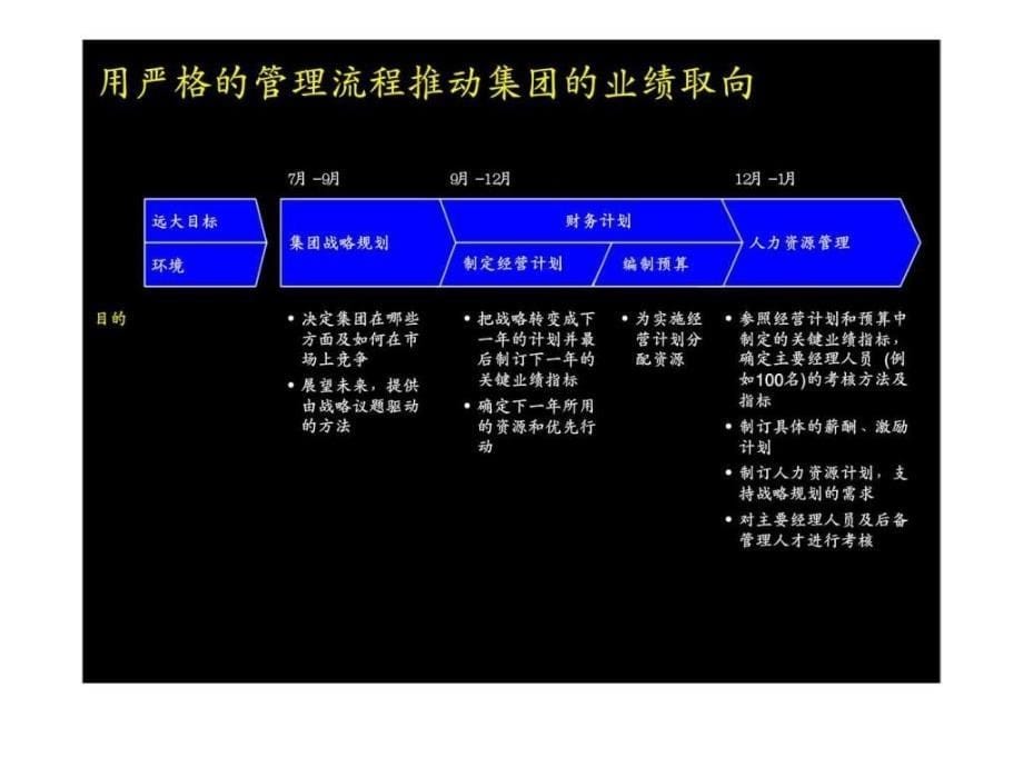 麦肯锡给大唐电信作的战略_第5页