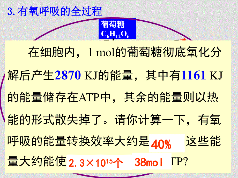 高中物理的主要来源－呼吸作用课件人教版必修1_第3页