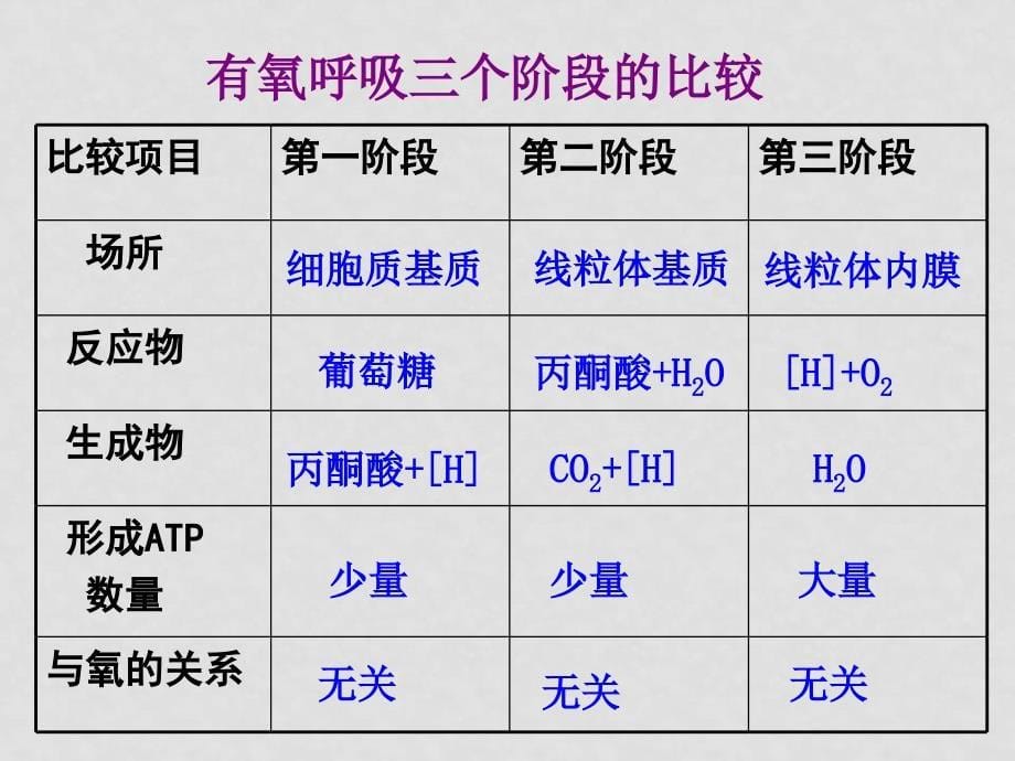 高中物理的主要来源－呼吸作用课件人教版必修1_第5页