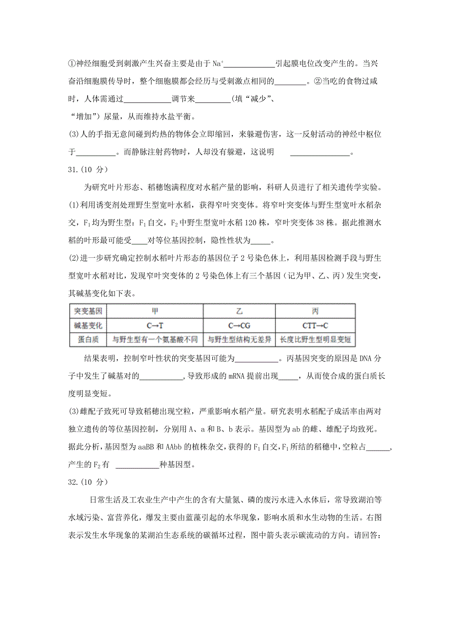 2022年高三第一次模拟考试理科综合生物试题 无答案_第3页