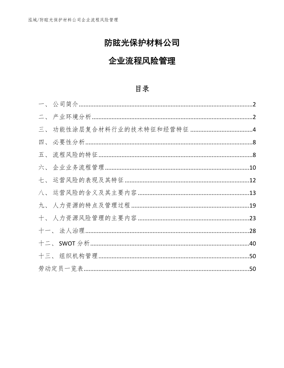 防眩光保护材料公司企业流程风险管理_范文_第1页