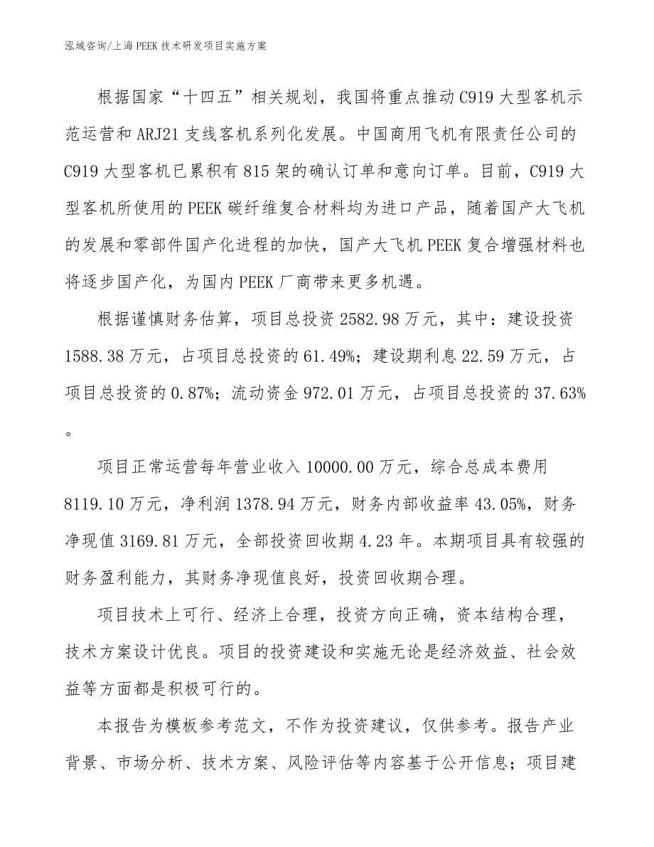 上海PEEK技术研发项目实施方案（范文）_第5页