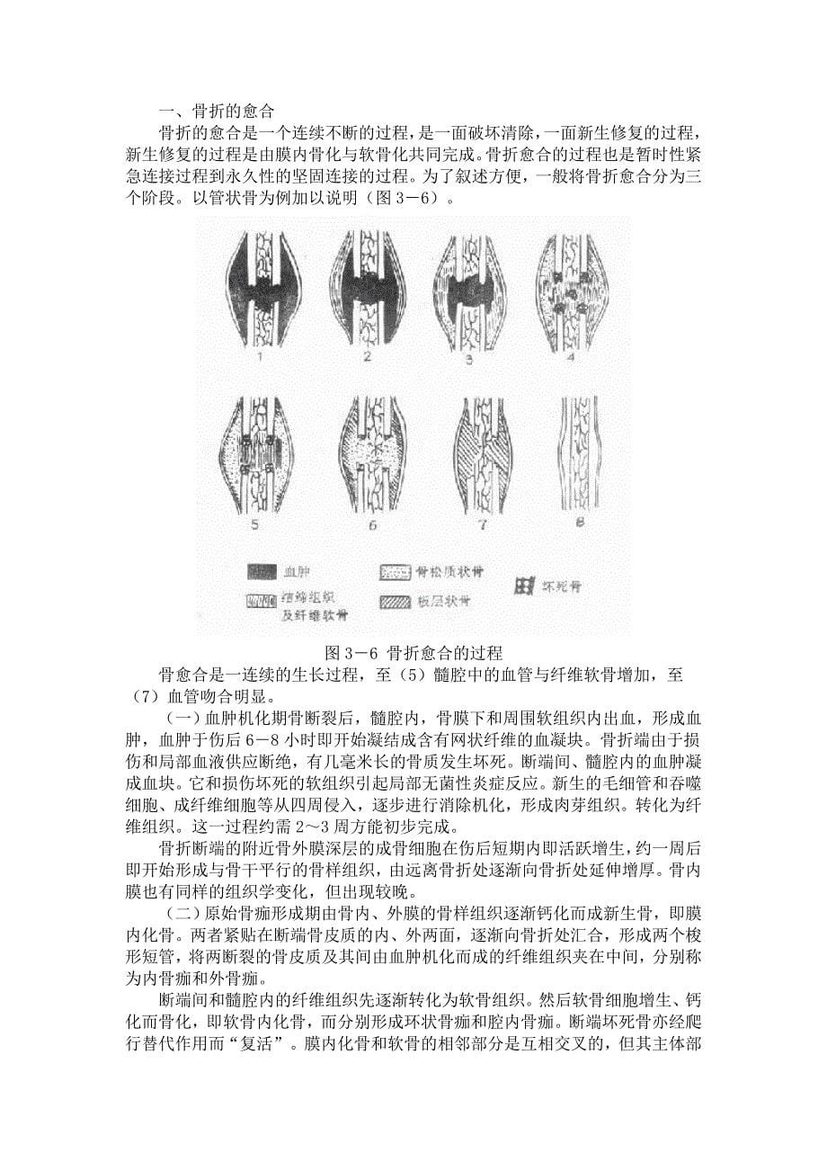 骨科总论讲义.doc_第5页