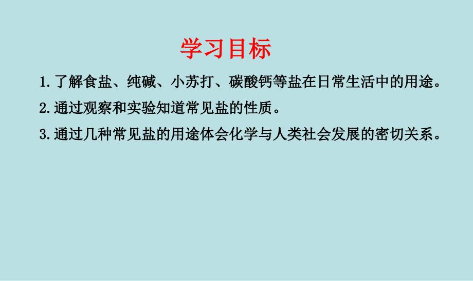 常见的盐第一课时.ppt_第4页