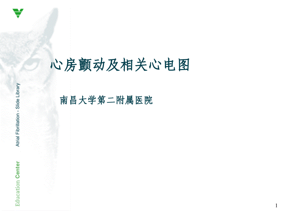 心房颤动及相关图_第1页