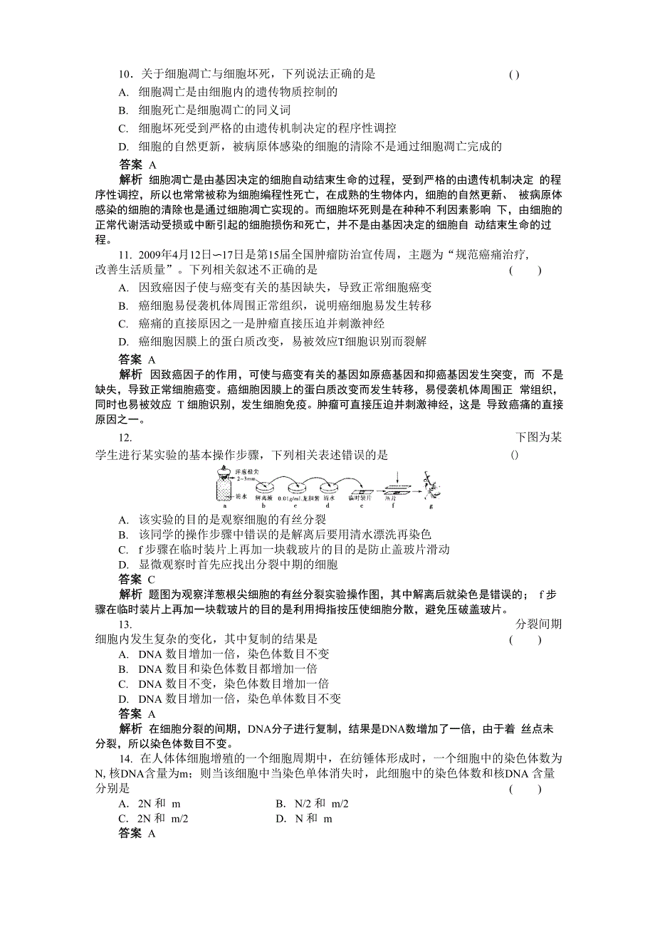 细胞的生命历程_第4页