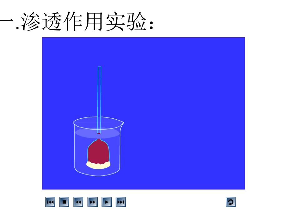 高一生物物质跨膜运输的实例_第2页