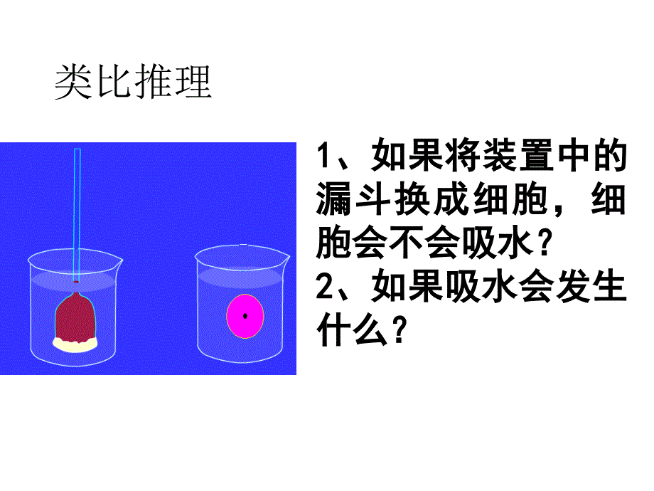 高一生物物质跨膜运输的实例_第4页