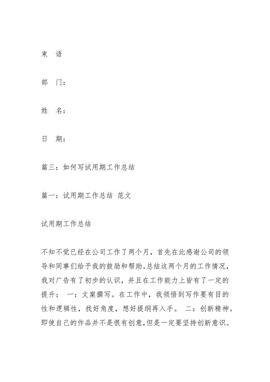 试用期工作总结格式_2.docx_第5页