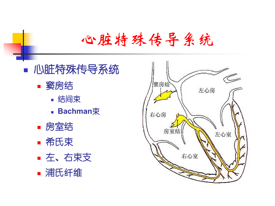 射频消融标测技术要点_第2页