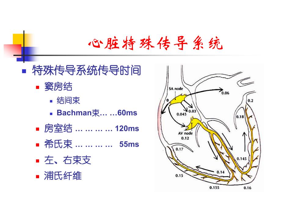 射频消融标测技术要点_第3页