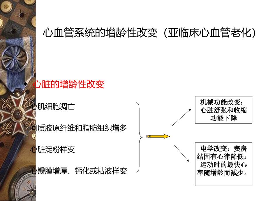 老年心血管病的特点和防治策略_第3页