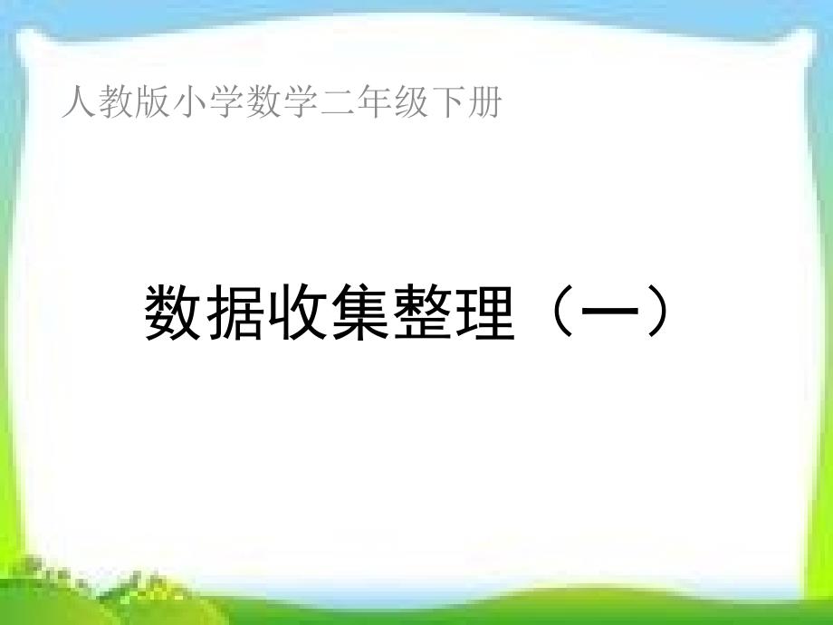 新人教版二年级数学下册数据收集整理_第1页