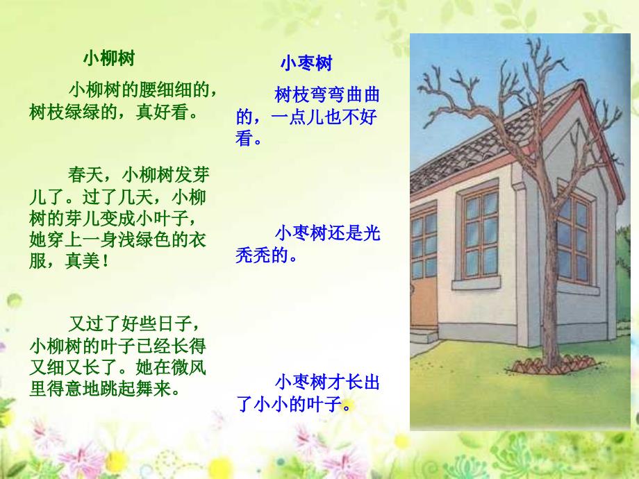 人教版小学语文二年级上册《小柳树和小枣树》PPT课件_第4页