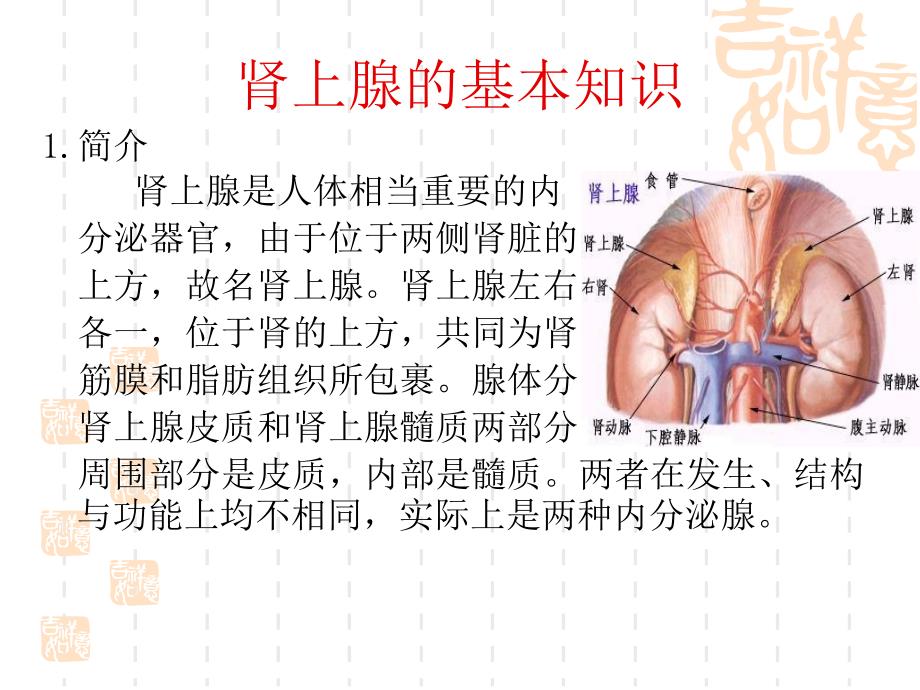 肾上腺疾病的治疗及护理_第4页