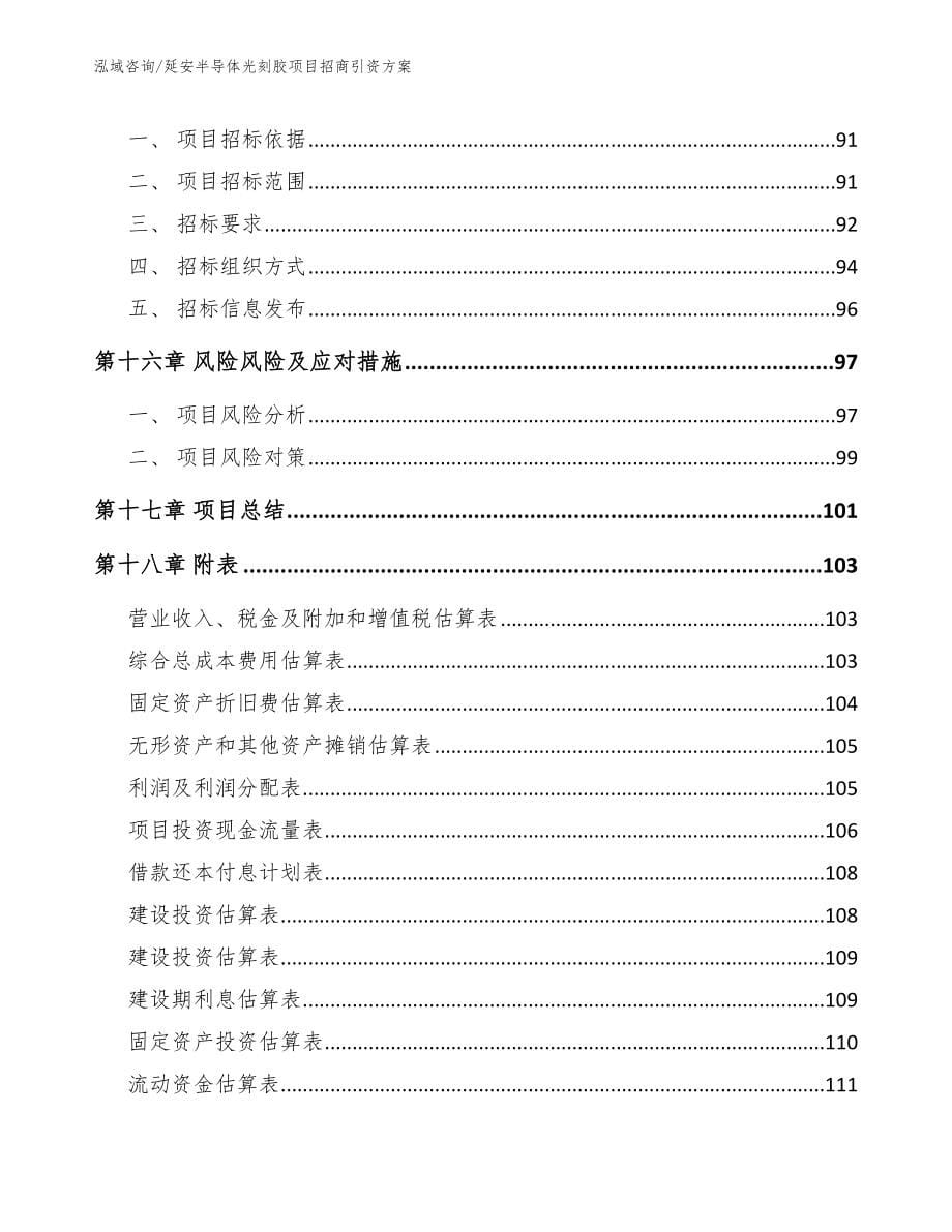 延安半导体光刻胶项目招商引资方案_范文模板_第5页