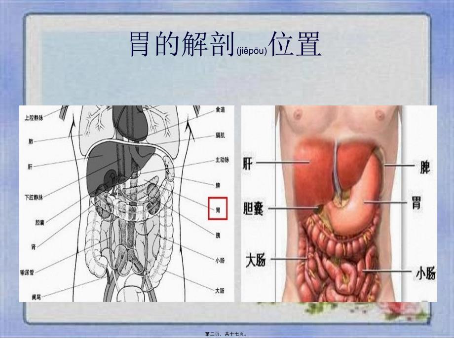 医学专题—胃癌常见手术方式及术后并发症_第2页