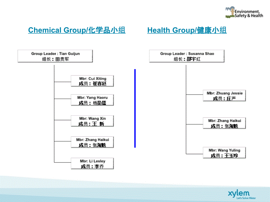 ESH Management Organization-2012_第4页