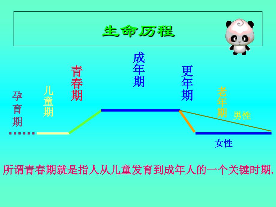 实验小学2014年秋季学期五六年级男生青春期教育讲座ppt课件_第4页