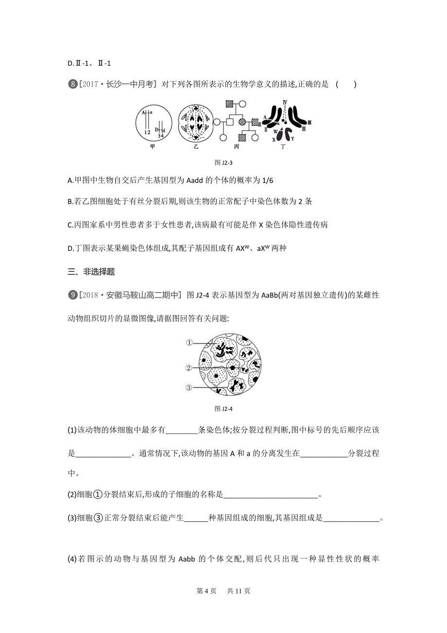 生物人教版必修2练习：基础排查训练(二)第2章-Word版含解析_第4页