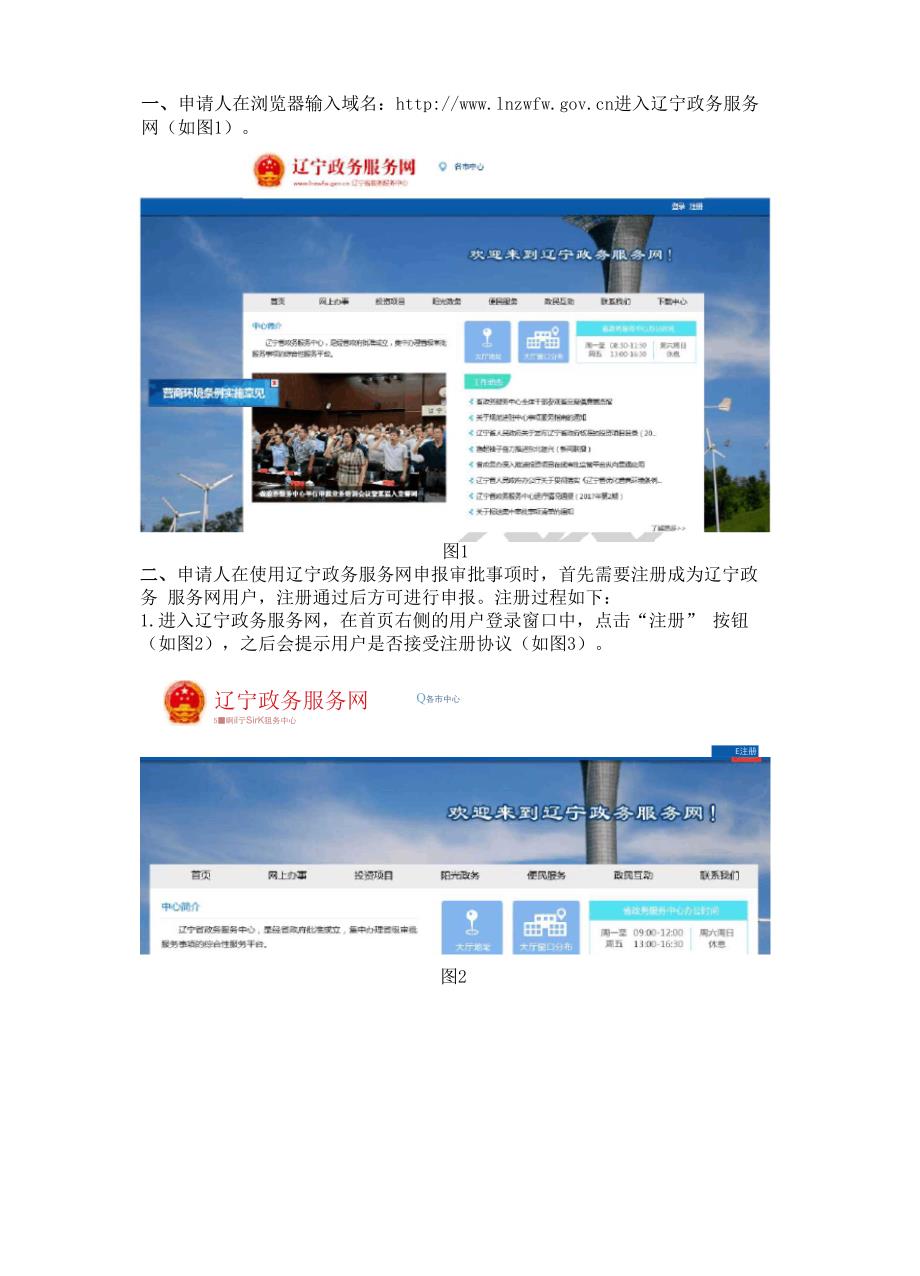 辽宁政务服务网网上申报操作手册_第2页