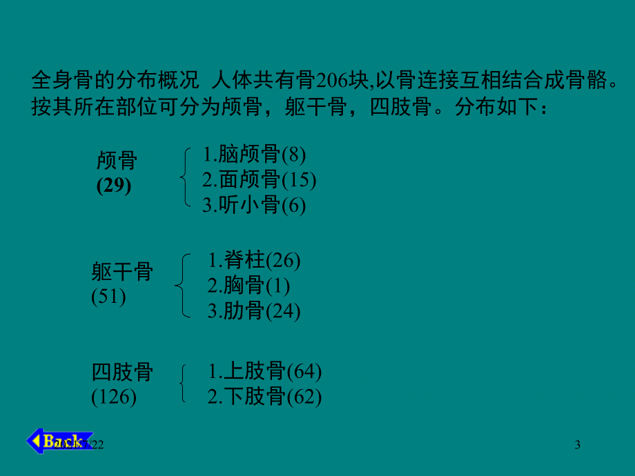 人体骨骼构成图解PPT课件_第3页