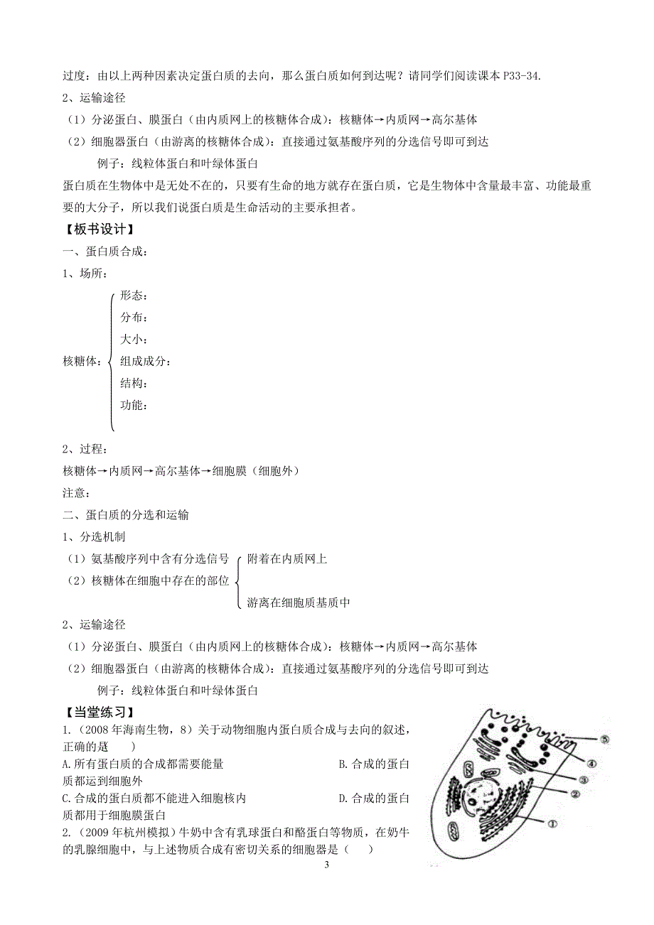 蛋白质的合成和运输.doc_第3页