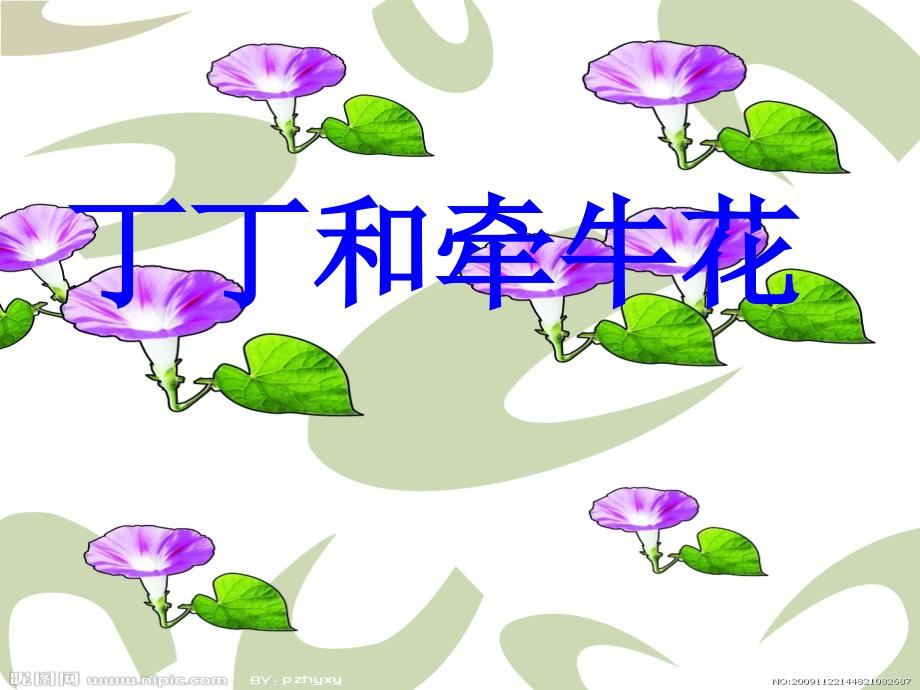 《丁丁和牵牛花》课件_第1页