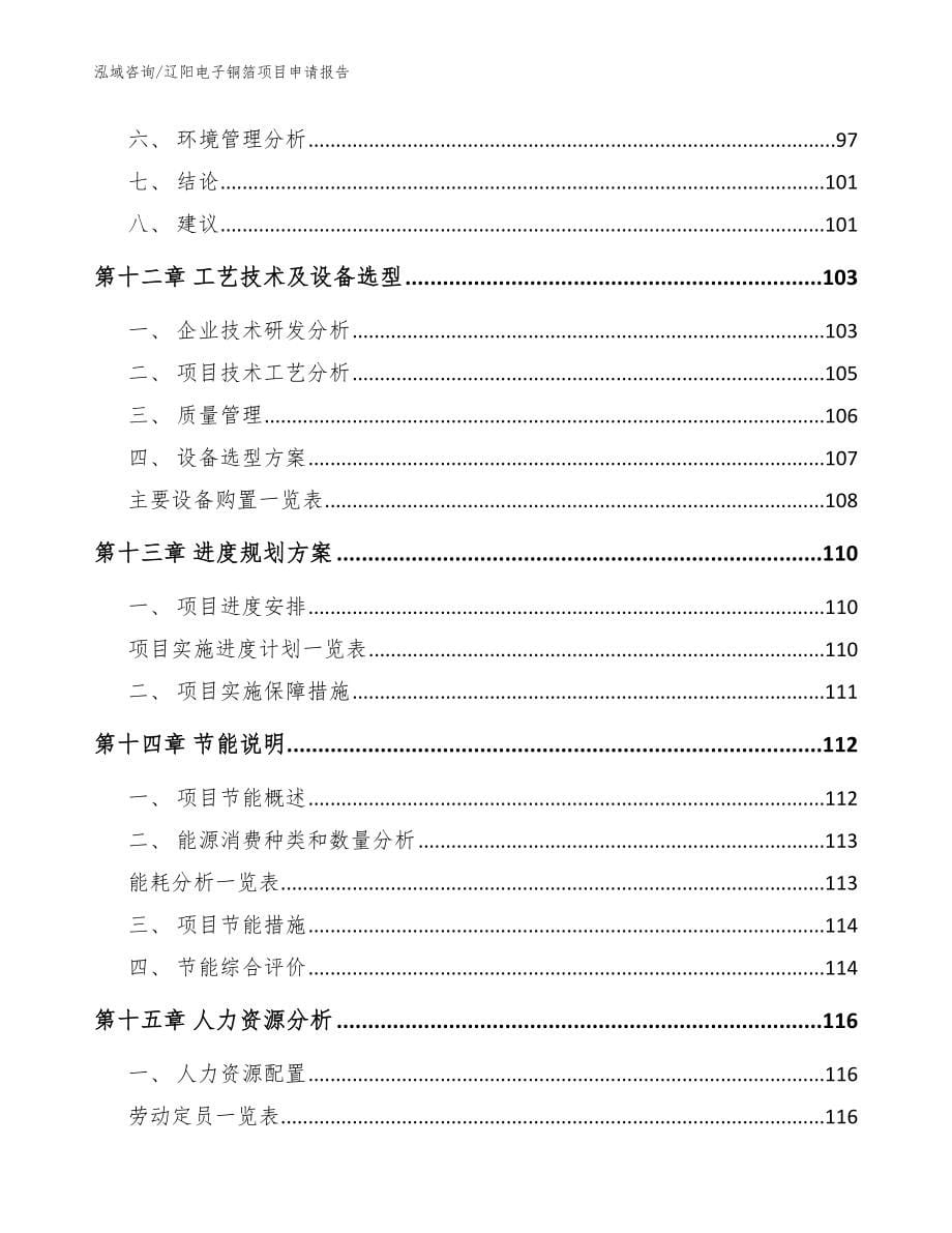 辽阳电子铜箔项目申请报告模板范文_第5页