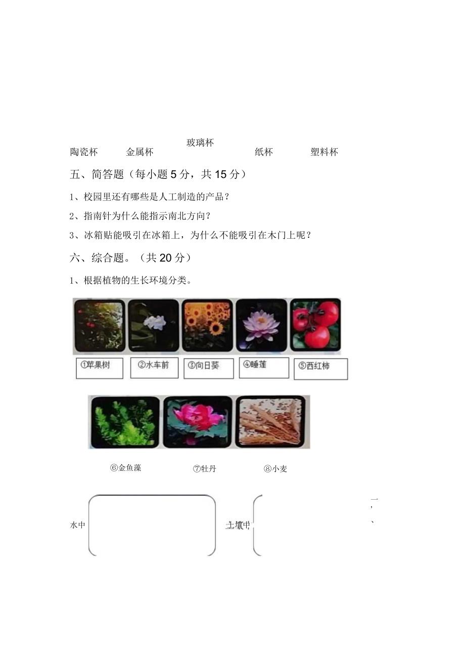 苏教版二年级科学上册期中试卷(及参考答案)_第3页