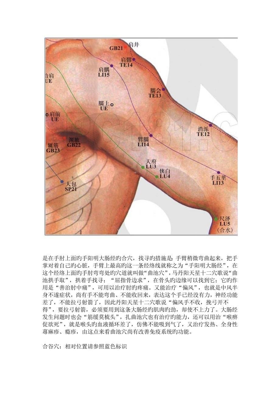 老祖宗留下的绝技_第5页