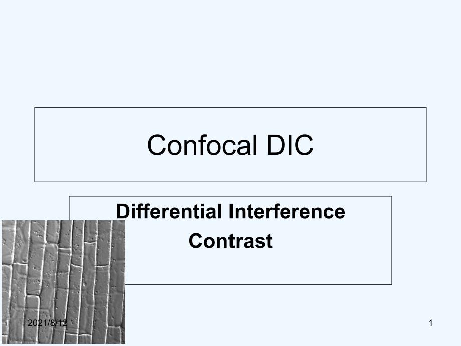 ConfocalDICTraining讲座_第1页