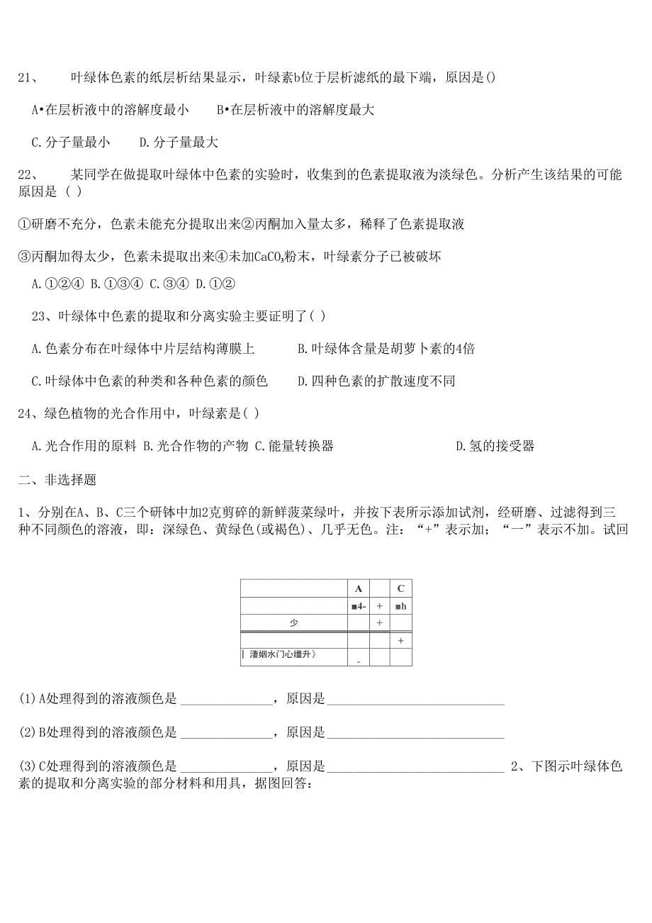 叶绿素分离实验_第5页