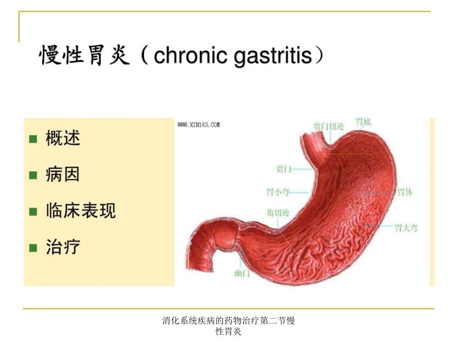 消化系统疾病的药物治疗第二节慢性胃炎课件_第2页