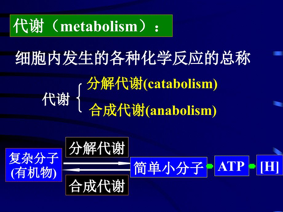 111第六章微生物的代谢_第2页