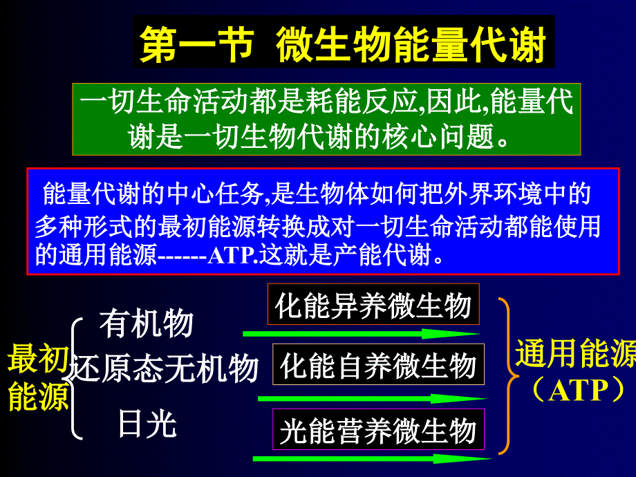 111第六章微生物的代谢_第4页