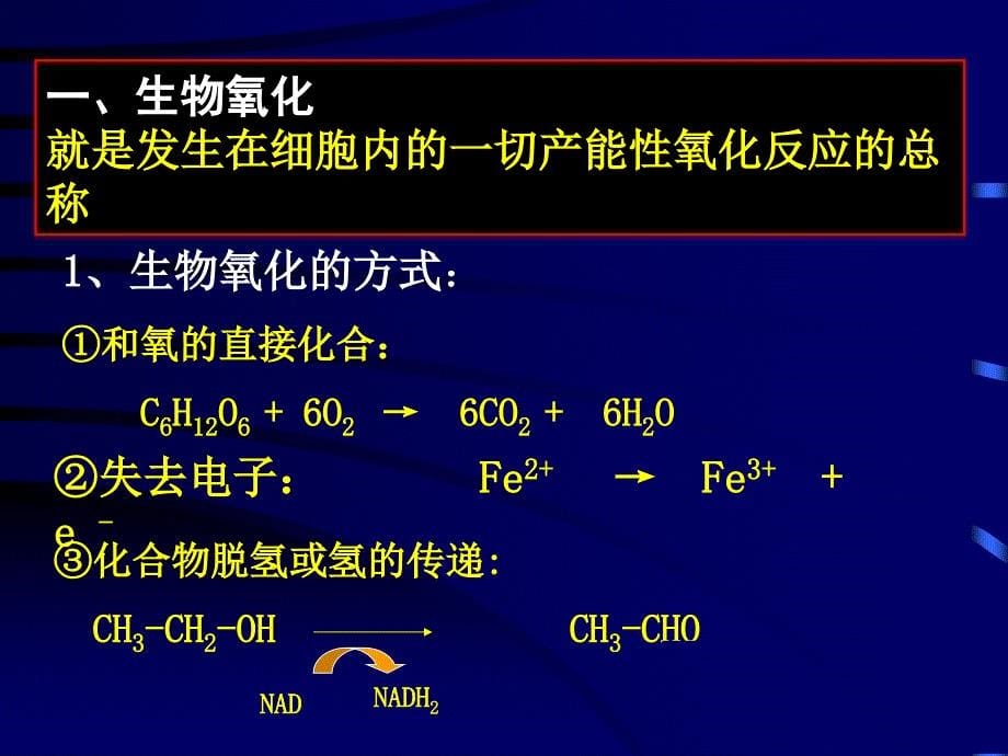 111第六章微生物的代谢_第5页