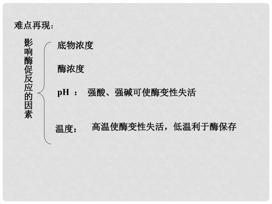 高中生物会考复习课件：细胞的能量供应和利用_第3页