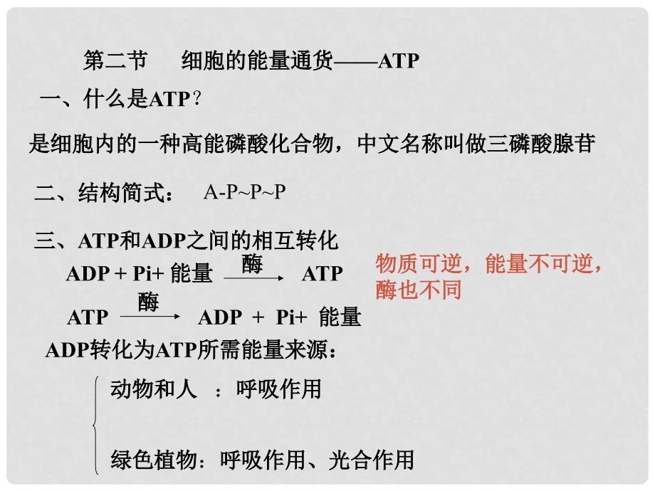 高中生物会考复习课件：细胞的能量供应和利用_第4页