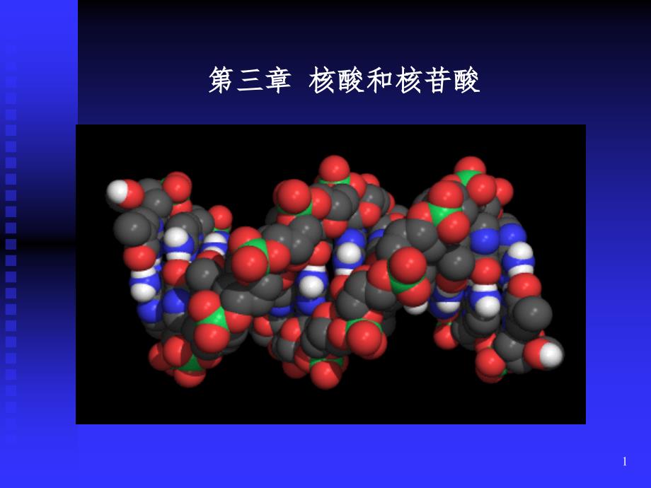 核酸和核苷酸PPT课件_第1页