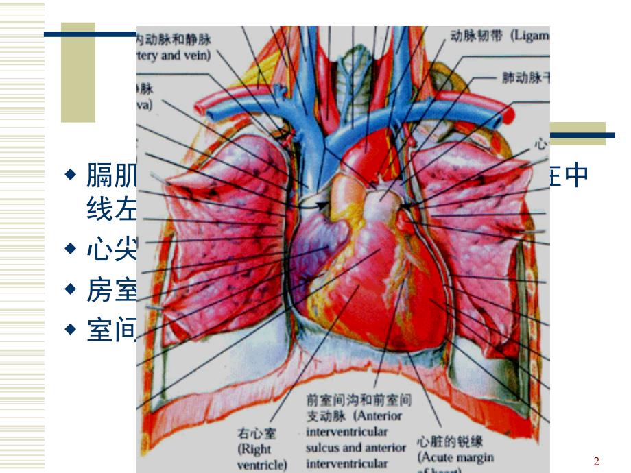 冠状动脉介入基础课堂PPT_第2页