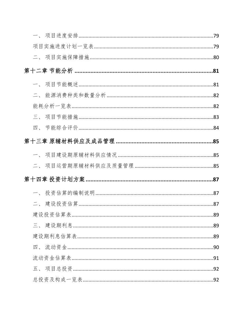 吉林起动电机项目可行性研究报告_第5页