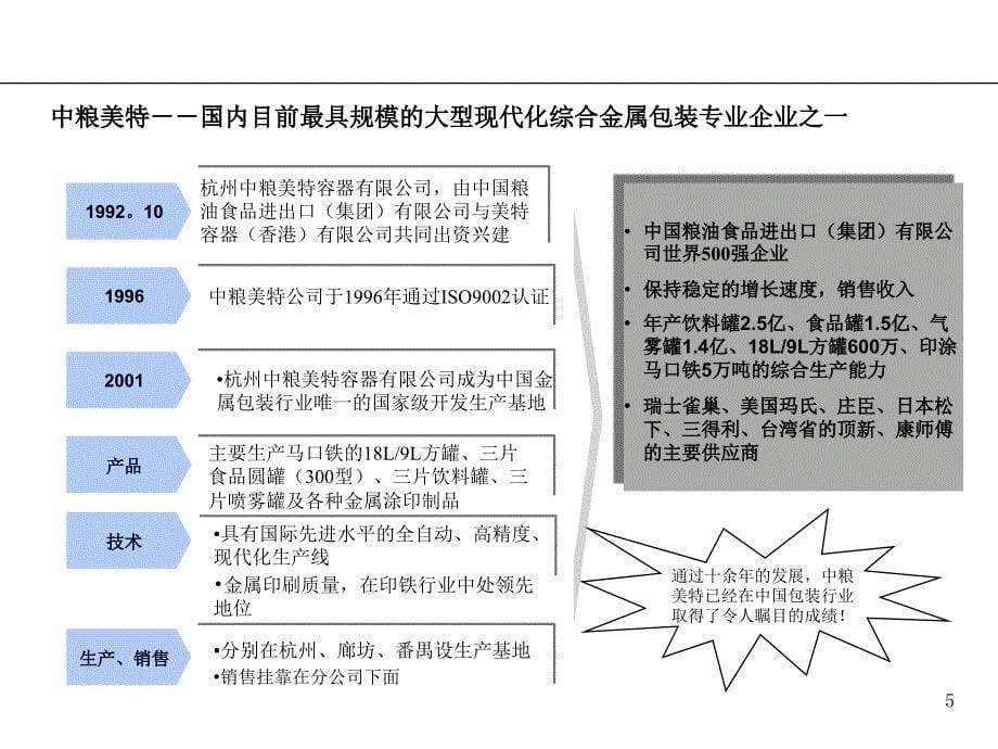 提升公司竞争力的咨询项目规划书dvjr_第5页