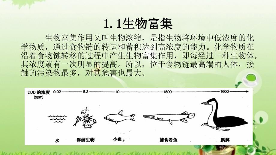 农药、兽药、化肥与食品安全_第4页