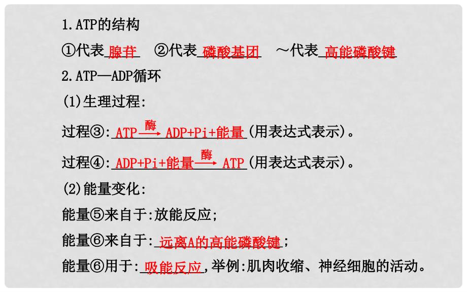 高中生物 第三章 第一、二节 细胞与能量 物质出入细胞的方式课件 浙科版必修1_第4页