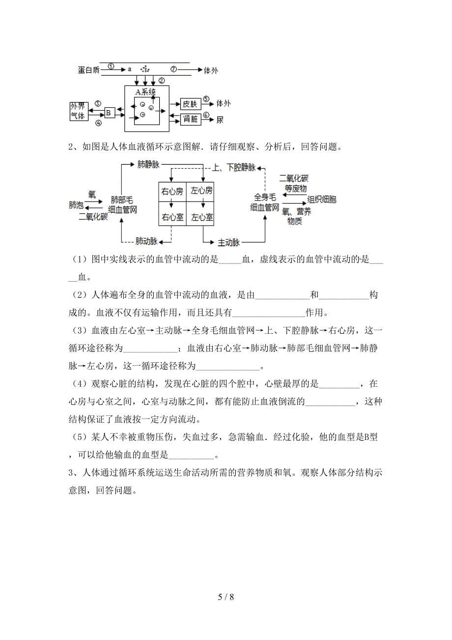 苏教版八年级生物(上册)期末强化训练及答案.doc_第5页