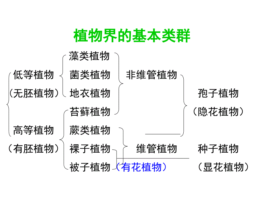 普通生物学第十章植物的类群课件_第1页