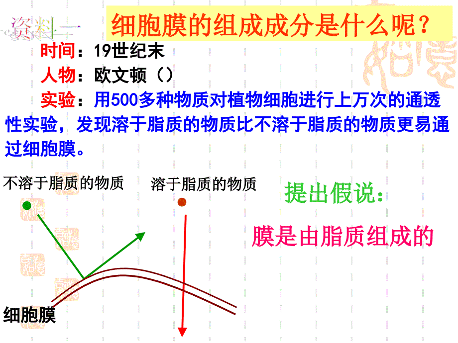 细胞膜的结构和功能_第2页