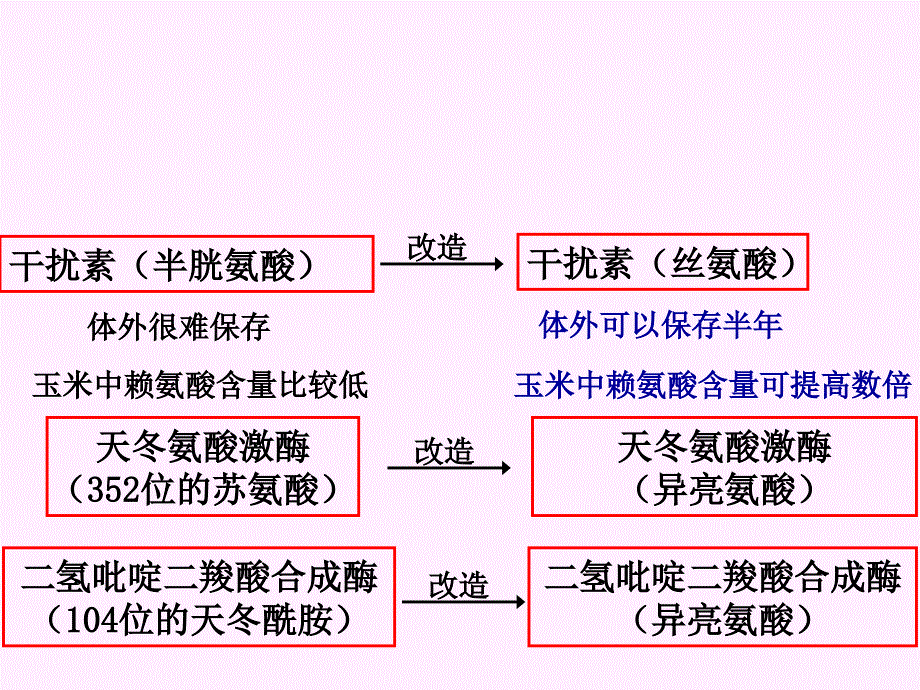 蛋白质工程崛起PPT课件_第5页